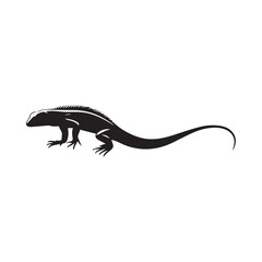 Fototapeta premium lizard on white background