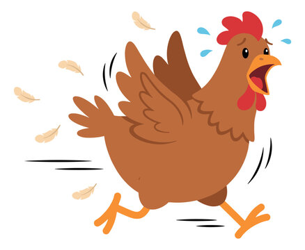 Cartoon illustration of a scared chicken depicting panicked running with flying feathers for funny farm animal design