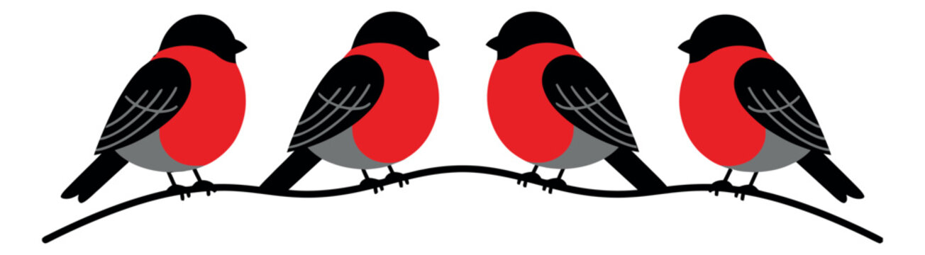 Flat illustration set of 4 bullfinches depicting colorful songbirds perched on a branch for nature and seasonal design
