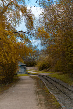 A serene railway scene featuring a single set of tracks running parallel to a dirt pedestrian walkway.&nbsp;