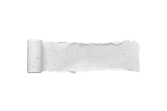 Torn white paper strip peeling and rolling, providing a blank textured banner or message space, suitable for adding text