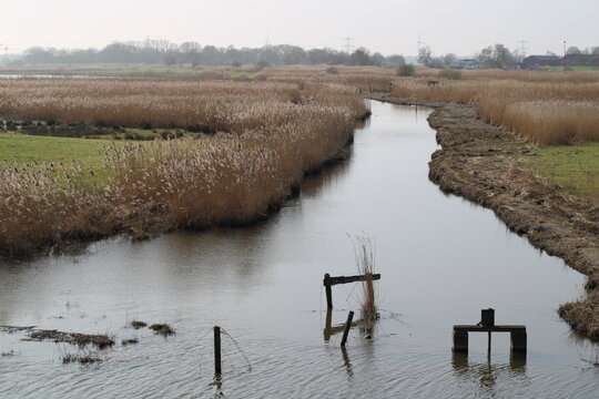 Polder landscape in northern Germany - Duntzenwerder Polder in Bremen Seehausen