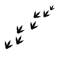 Obraz premium Black bird footprints walking across white background