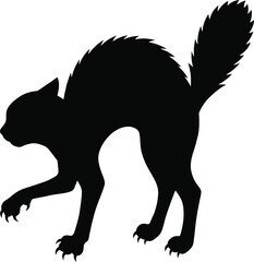Scared Halloween Black Cat Silhouette Arched BackScared Halloween Black Cat Silhouette Arched Back © MDZAHID