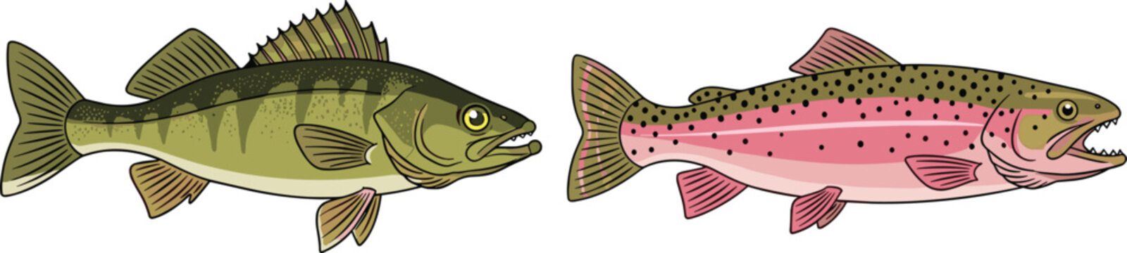 Illustration of Freshwater Fish Set Featuring Bass and Trout in Detailed Cartoon Style