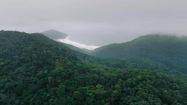 Rainforest valley opening toward the ocean near Ingleses