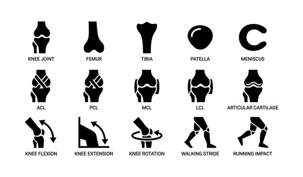 Knee anatomy icons: joint, bones, ligaments, movements, impact
