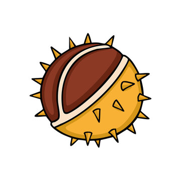 Stylized cartoon conker nut with spiky shell and brown and yellow segments