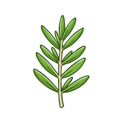 Obraz premium Hand-drawn illustration of a vibrant green rosemary sprig with delicate leaves and a light brown stem, isolated on white.