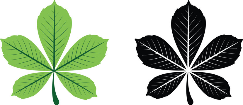 Horse Chestnut Buckeye leaf vector silhouette and color vector illustration