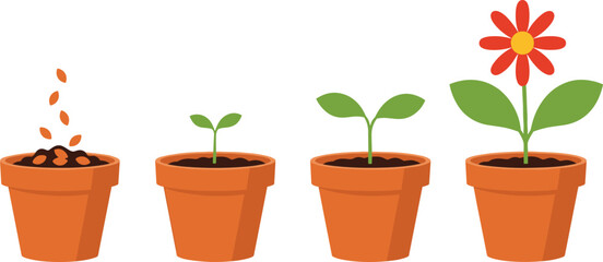Obraz premium Plant Growth Stages Illustration Showing Seed Germination Sprout Seedling and Flowering Plant in Pots for Gardening Education and Nature Development Concept