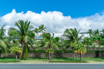 Fototapeta premium Tropical Resort with Palm Trees and Modern Buildings