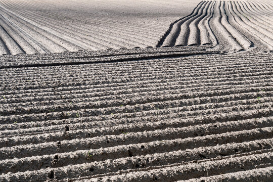 Ploughed field showing furrows and cultivation patterns