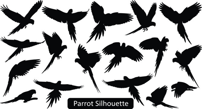 Collection of flying parrot silhouettes isolated on white background, tropical bird shapes in motion, detailed wings spread, wildlife illustration set for design, decoration, and branding use
