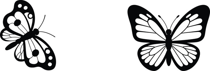 Two black and white butterflies with open wings butterfly © MDSHAHIN