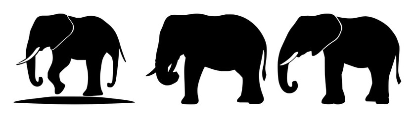 Fototapeta premium Elephant icon set with black silhouette on white backdrop featuring wildlife conservation, endangered species, iconography with high contrast and minimalist design