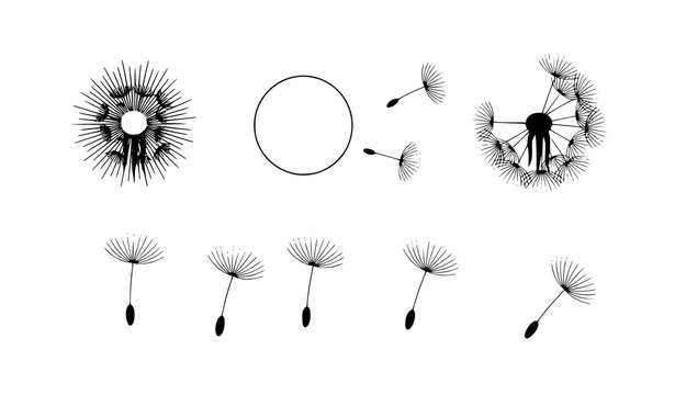 Minimal dandelion silhouettes with fluffy seeds simple floral vector illustration set