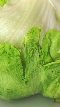 Fresh lettuce prep for a meal. vertical video.