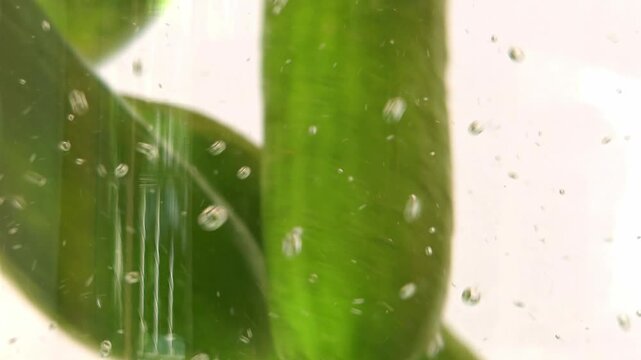 Bubbles rise to the surface with green cucumbers in the water.
