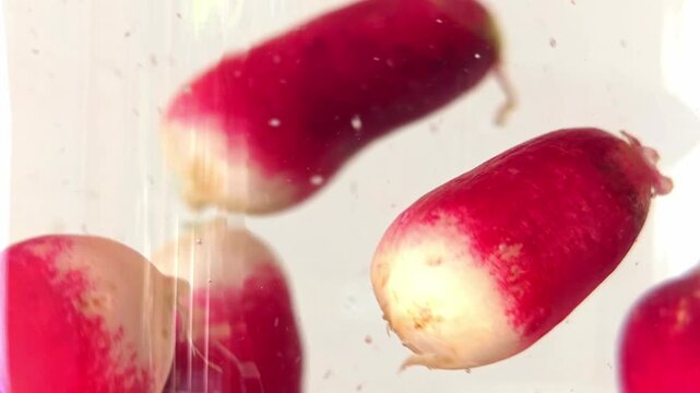 Radishes in bubbly clear liquid