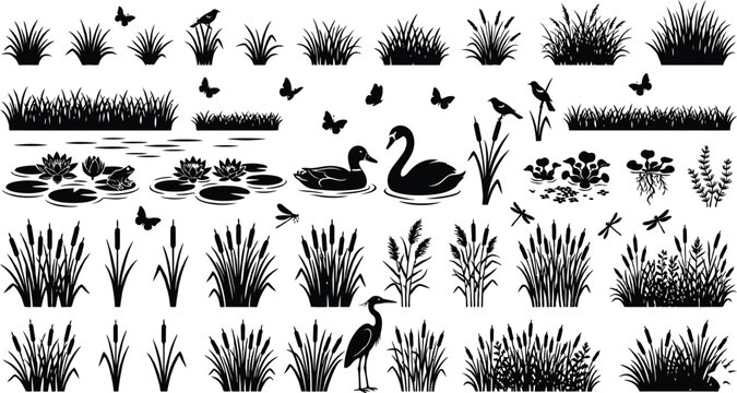 Wetland Plant Silhouette Collection with Birds Grass Reeds Vector Set
