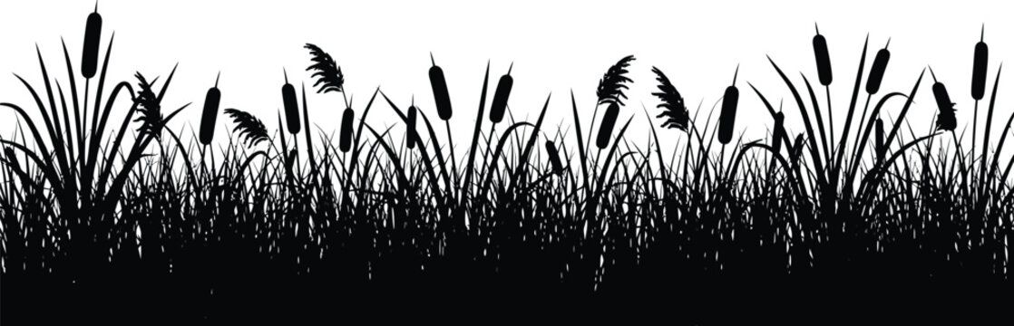 Seamless grass border silhouette with wild meadow plants and reeds
