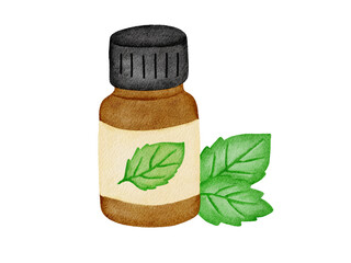 Watercolor Peppermint Essential Oil Bottle Illustration © Mycreativee