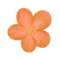 Flesh tropical flower digital illustration in watercolor brush © sekarr