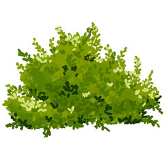 Obraz premium Bush