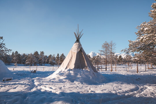 Traditional Sami lavvu tent standing in snowy Arctic landscape at sunrise. Warm light contrasts cold winter scene, capturing Nordic culture, wilderness and peaceful remote environment