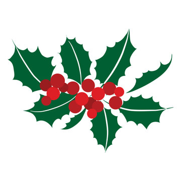 Mistletoe icon 22