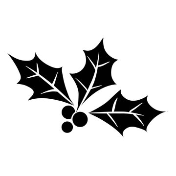 Mistletoe silhouette icon 27