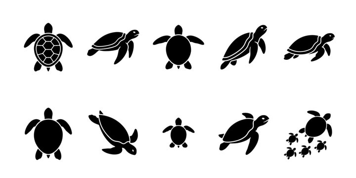 Sea turtle silhouette icon set, minimalist marine reptile vector graphics, black aquatic tortoise collection for logo design and nature branding