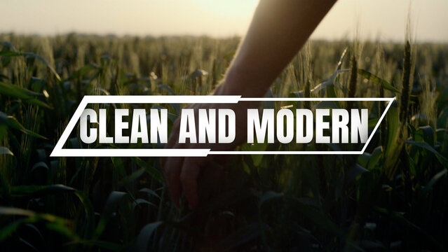 Clean and Modern Text Animations | Minimal Typography Titles, Professional Corporate Lower Thirds and Universal Motion Graphics