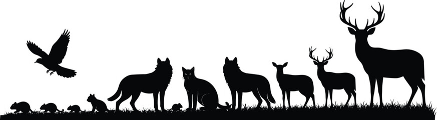 Fototapeta premium Black silhouette of diverse wildlife animals including bird, rodents, wolf, cat, deer, and stag standing together symbolizing ecosystem diversity and nature