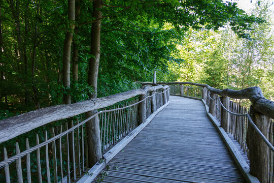 Nationalpark Eifel, Nordrhein-Westfalen, Deutschland, Naturschutzgebiet, Buchenw&auml;lder, Wald, Renaturierung, Barrierefreier Kermeter, Holzpfade f&uuml;hren durch den Nationalpark,