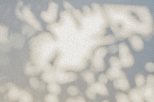 Leaf shadow and light beige background. Nature tropical leaves plant and tree branch shade with sunlight on wall texture for background wallpaper and design, shadow overlay effect