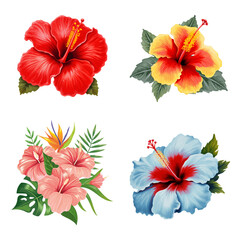 Vibrant collection of exotic tropical hibiscus flowers in various bright colors, perfect for summer designs and botanical illustrations © devina