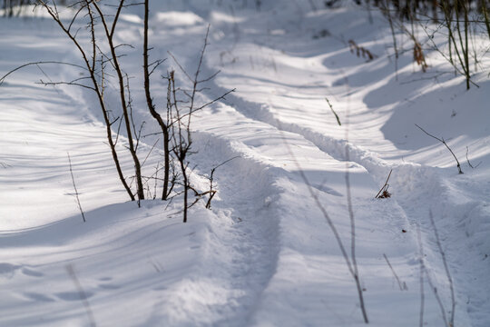 ATV tracks in the snow.