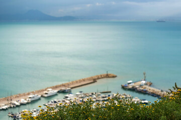 Le port de Sidi Bou Saïd en Tunisie