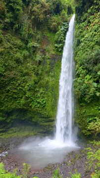 Puerto Octay, Chile - February 22, 2026: Salto las Cascadas is a 50-meter waterfall surrounded by native forest. It is located near the town of Las Cascadas, on the shores of Lake Llanquihue.
