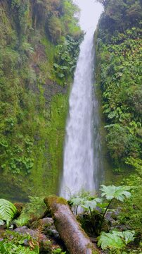 Puerto Octay, Chile - February 22, 2026: Salto las Cascadas is a 50-meter waterfall surrounded by native forest. It is located near the town of Las Cascadas, on the shores of Lake Llanquihue.