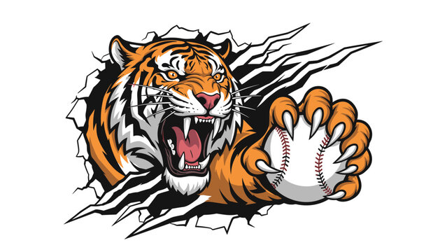 Intense tiger mascot breaking through a surface while grasping a white baseball with red stitches using sharp claws.