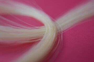 Mèche de cheveux blonds © Anthony SEJOURNE