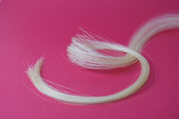 Mèche de cheveux blonds © Anthony SEJOURNE