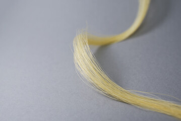 Mèche de cheveux blonds © Anthony SEJOURNE