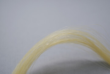 Mèche de cheveux blonds © Anthony SEJOURNE