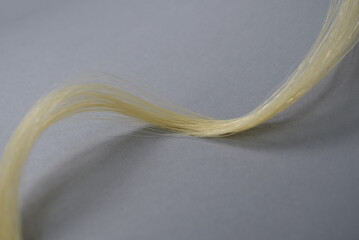 Mèche de cheveux blonds © Anthony SEJOURNE