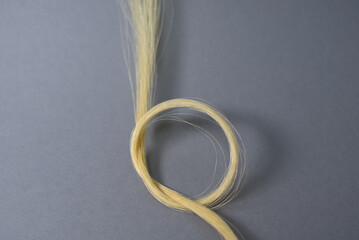 Mèche de cheveux blonds © Anthony SEJOURNE