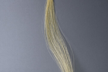 Mèche de cheveux blonds © Anthony SEJOURNE